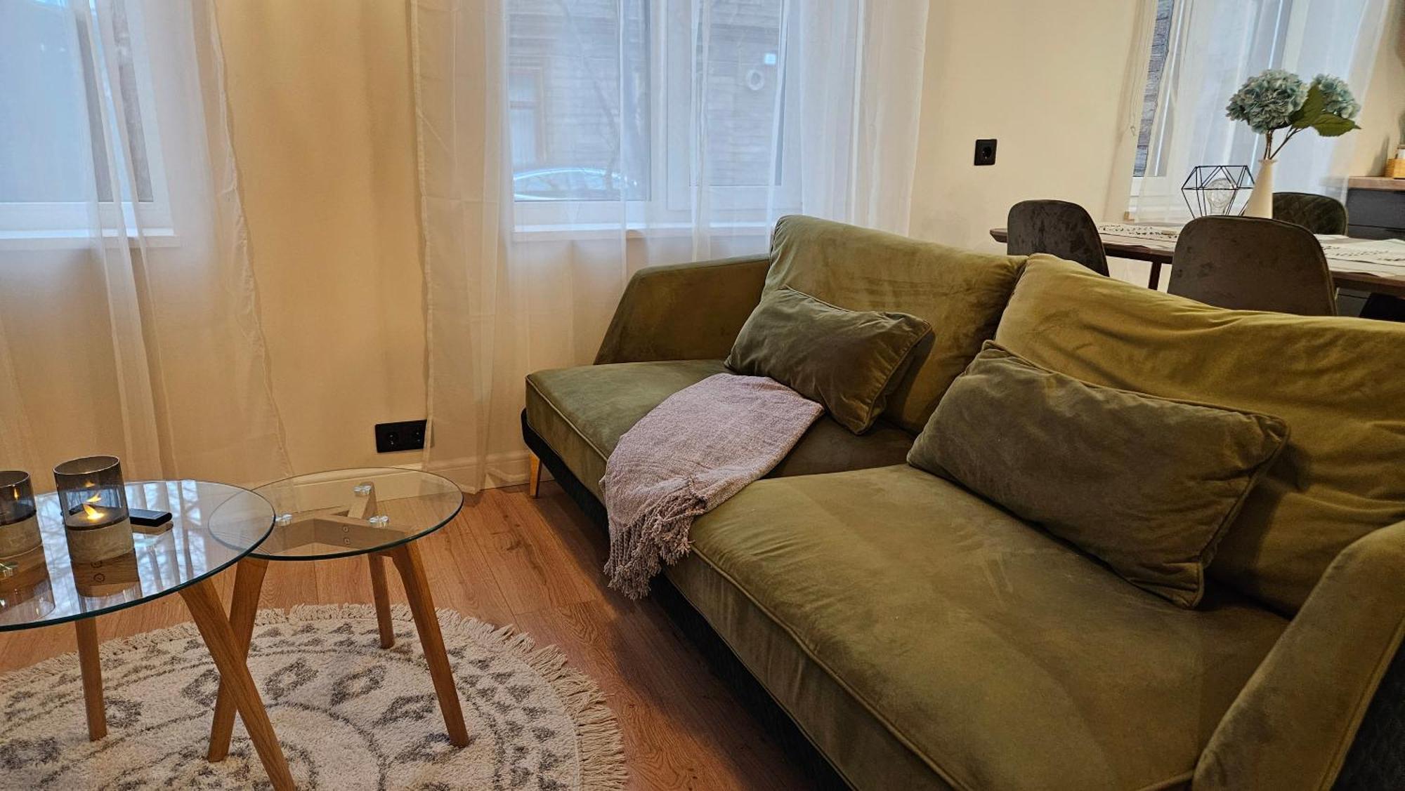 Cesu Str Cozy 2, Free Parking,self Check In *